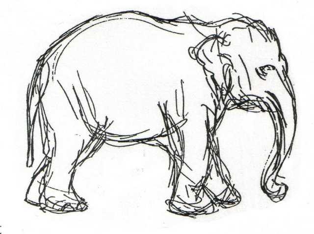 elephant2